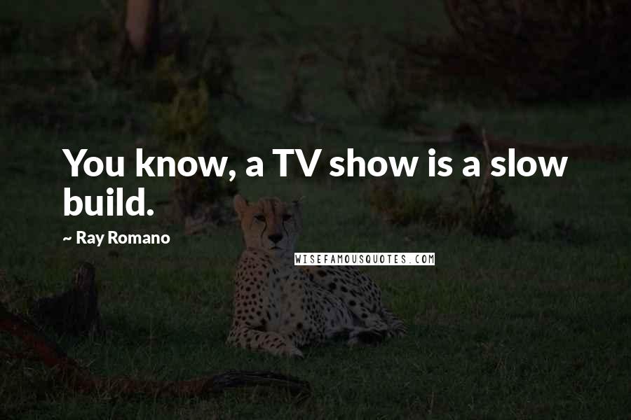 Ray Romano Quotes: You know, a TV show is a slow build.