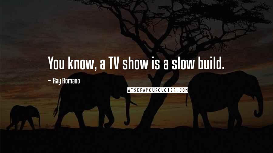 Ray Romano Quotes: You know, a TV show is a slow build.