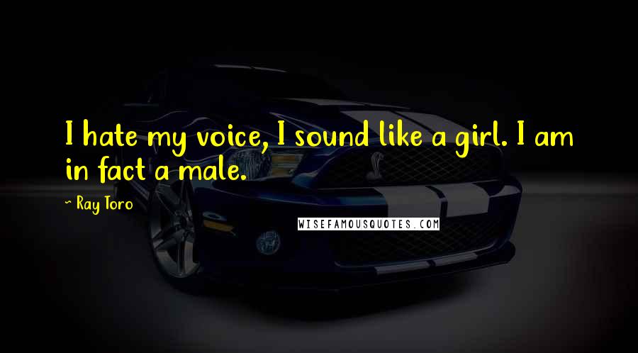 Ray Toro Quotes: I hate my voice, I sound like a girl. I am in fact a male.