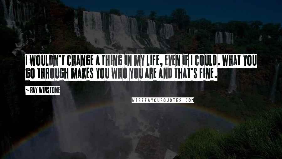 Ray Winstone Quotes: I wouldn't change a thing in my life, even if I could. What you go through makes you who you are and that's fine.