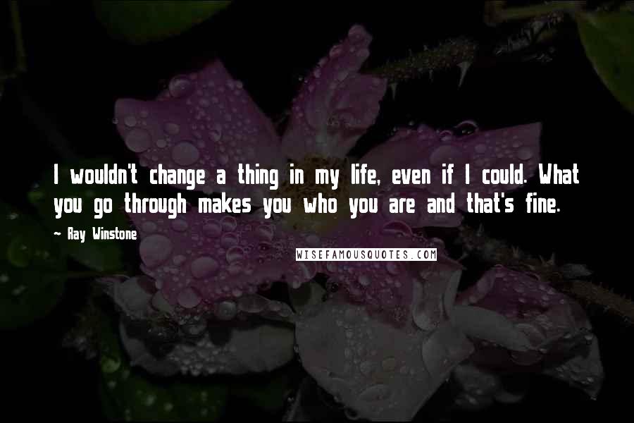 Ray Winstone Quotes: I wouldn't change a thing in my life, even if I could. What you go through makes you who you are and that's fine.