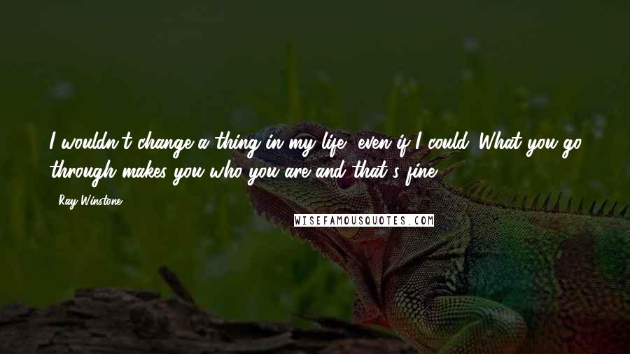 Ray Winstone Quotes: I wouldn't change a thing in my life, even if I could. What you go through makes you who you are and that's fine.