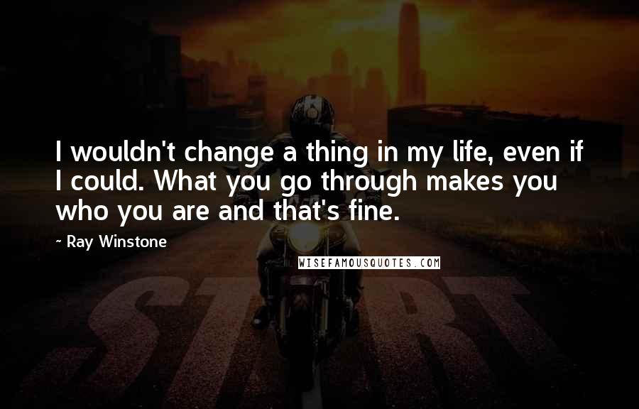 Ray Winstone Quotes: I wouldn't change a thing in my life, even if I could. What you go through makes you who you are and that's fine.
