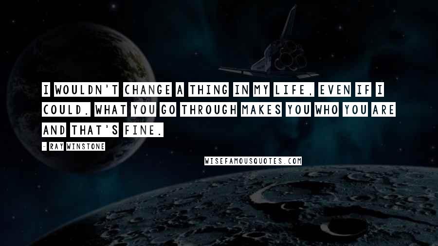 Ray Winstone Quotes: I wouldn't change a thing in my life, even if I could. What you go through makes you who you are and that's fine.