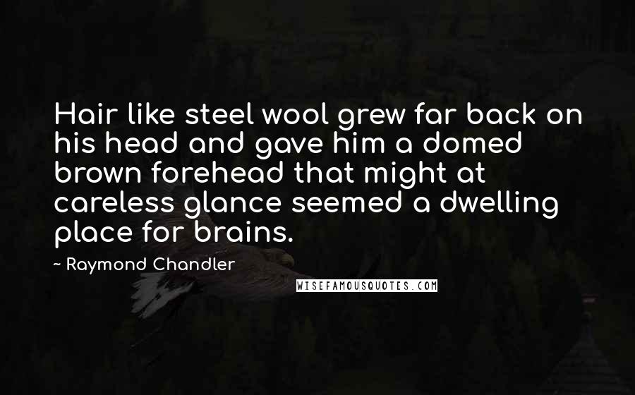 Raymond Chandler Quotes: Hair like steel wool grew far back on his head and gave him a domed brown forehead that might at careless glance seemed a dwelling place for brains.