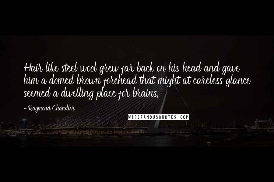 Raymond Chandler Quotes: Hair like steel wool grew far back on his head and gave him a domed brown forehead that might at careless glance seemed a dwelling place for brains.