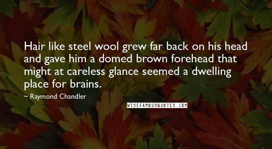 Raymond Chandler Quotes: Hair like steel wool grew far back on his head and gave him a domed brown forehead that might at careless glance seemed a dwelling place for brains.