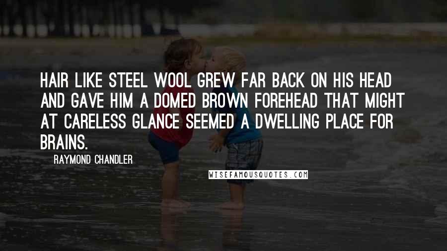 Raymond Chandler Quotes: Hair like steel wool grew far back on his head and gave him a domed brown forehead that might at careless glance seemed a dwelling place for brains.