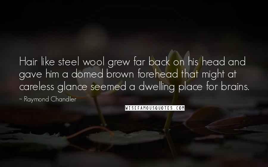 Raymond Chandler Quotes: Hair like steel wool grew far back on his head and gave him a domed brown forehead that might at careless glance seemed a dwelling place for brains.