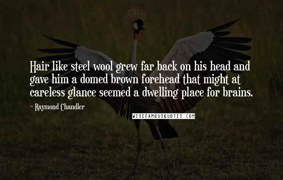 Raymond Chandler Quotes: Hair like steel wool grew far back on his head and gave him a domed brown forehead that might at careless glance seemed a dwelling place for brains.