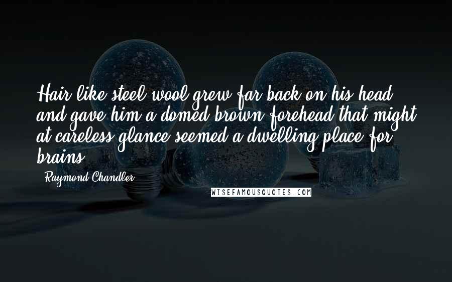 Raymond Chandler Quotes: Hair like steel wool grew far back on his head and gave him a domed brown forehead that might at careless glance seemed a dwelling place for brains.