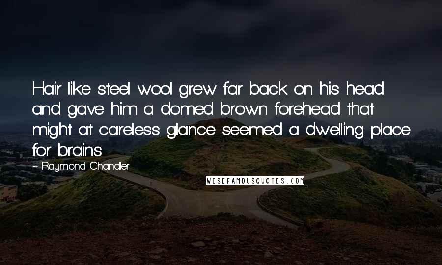 Raymond Chandler Quotes: Hair like steel wool grew far back on his head and gave him a domed brown forehead that might at careless glance seemed a dwelling place for brains.