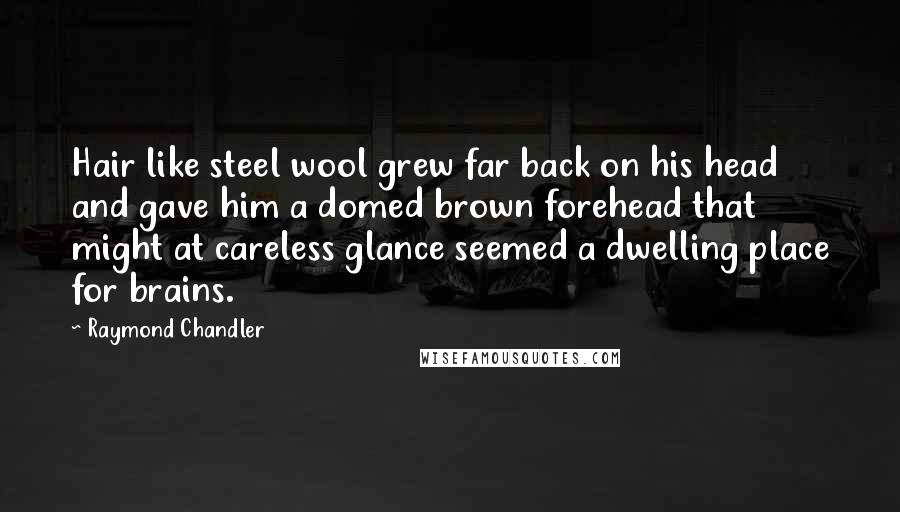 Raymond Chandler Quotes: Hair like steel wool grew far back on his head and gave him a domed brown forehead that might at careless glance seemed a dwelling place for brains.