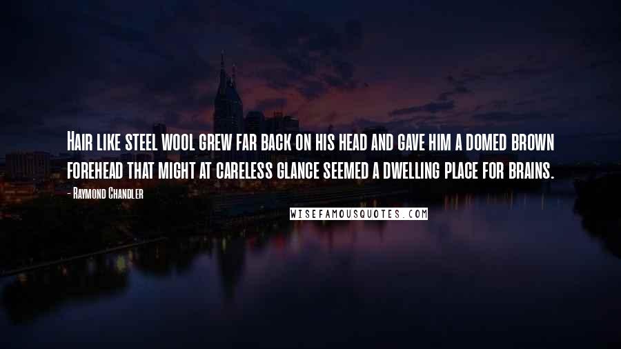 Raymond Chandler Quotes: Hair like steel wool grew far back on his head and gave him a domed brown forehead that might at careless glance seemed a dwelling place for brains.