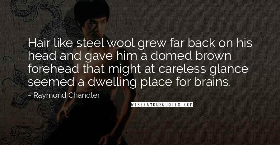 Raymond Chandler Quotes: Hair like steel wool grew far back on his head and gave him a domed brown forehead that might at careless glance seemed a dwelling place for brains.