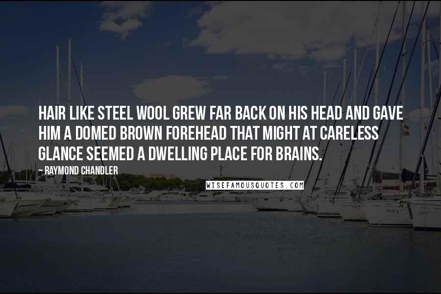 Raymond Chandler Quotes: Hair like steel wool grew far back on his head and gave him a domed brown forehead that might at careless glance seemed a dwelling place for brains.