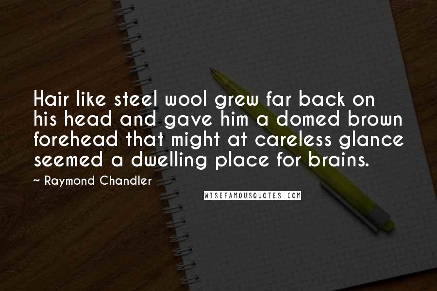 Raymond Chandler Quotes: Hair like steel wool grew far back on his head and gave him a domed brown forehead that might at careless glance seemed a dwelling place for brains.