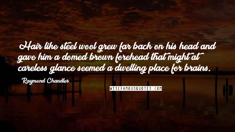 Raymond Chandler Quotes: Hair like steel wool grew far back on his head and gave him a domed brown forehead that might at careless glance seemed a dwelling place for brains.