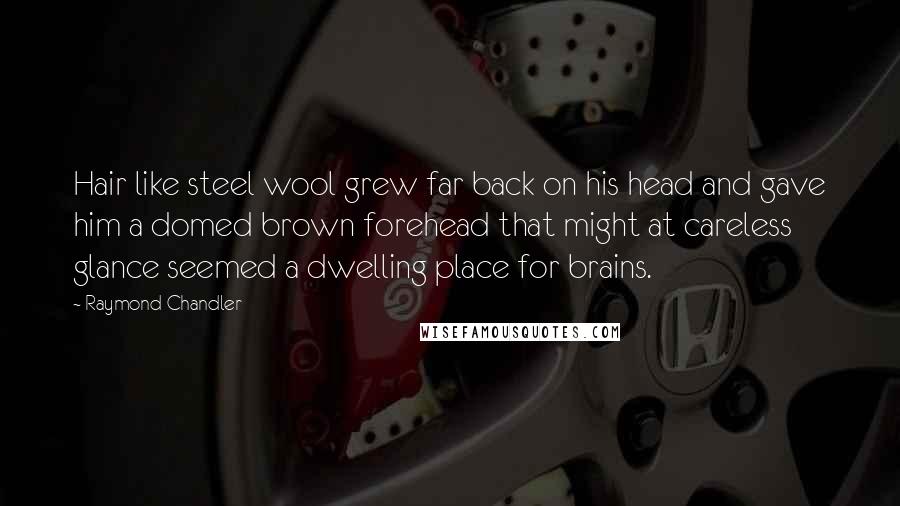 Raymond Chandler Quotes: Hair like steel wool grew far back on his head and gave him a domed brown forehead that might at careless glance seemed a dwelling place for brains.