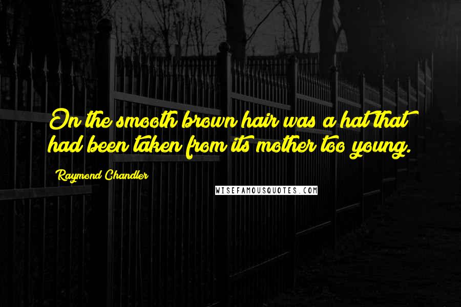 Raymond Chandler Quotes: On the smooth brown hair was a hat that had been taken from its mother too young.