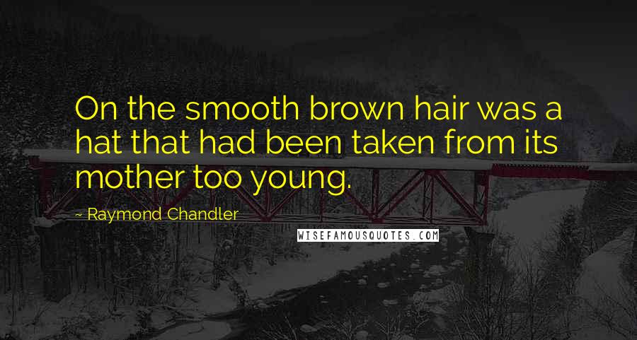 Raymond Chandler Quotes: On the smooth brown hair was a hat that had been taken from its mother too young.
