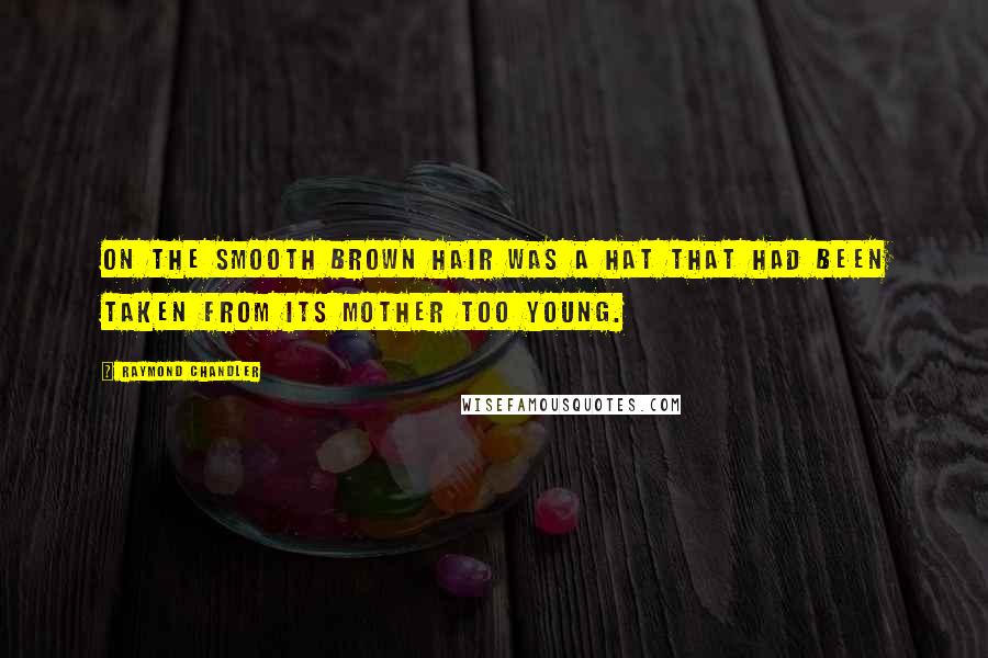 Raymond Chandler Quotes: On the smooth brown hair was a hat that had been taken from its mother too young.