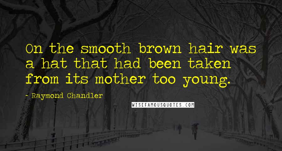 Raymond Chandler Quotes: On the smooth brown hair was a hat that had been taken from its mother too young.