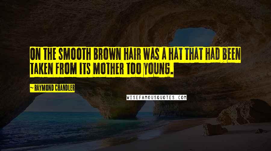 Raymond Chandler Quotes: On the smooth brown hair was a hat that had been taken from its mother too young.