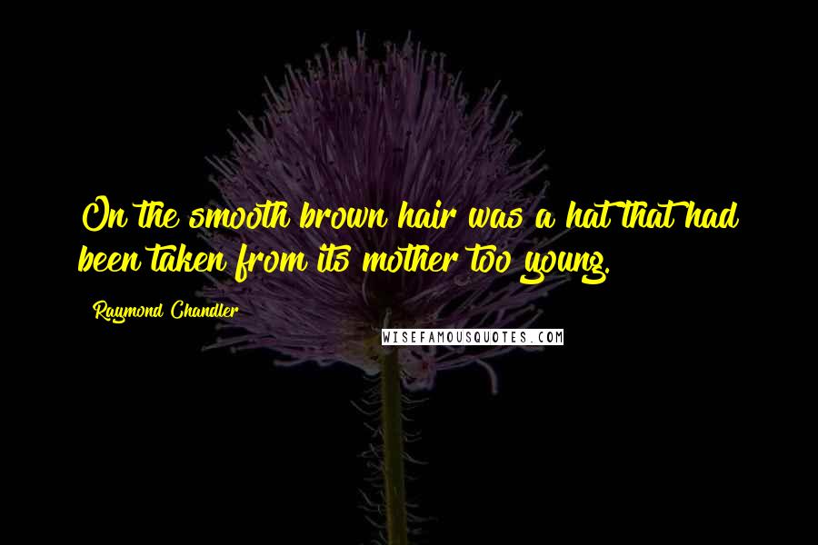 Raymond Chandler Quotes: On the smooth brown hair was a hat that had been taken from its mother too young.