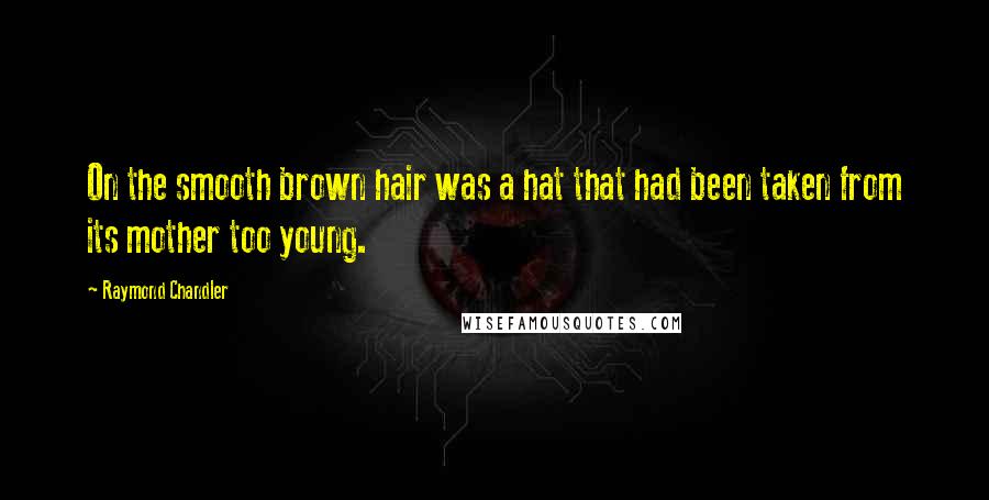 Raymond Chandler Quotes: On the smooth brown hair was a hat that had been taken from its mother too young.