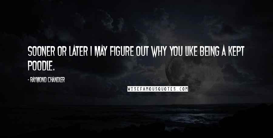 Raymond Chandler Quotes: Sooner or later I may figure out why you like being a kept poodle.