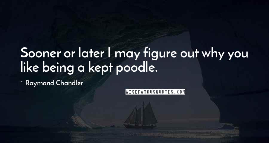 Raymond Chandler Quotes: Sooner or later I may figure out why you like being a kept poodle.