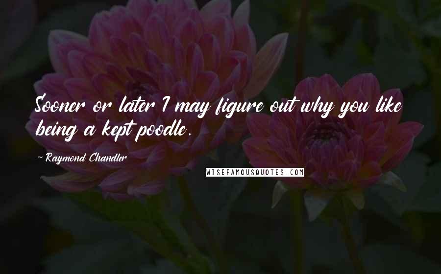 Raymond Chandler Quotes: Sooner or later I may figure out why you like being a kept poodle.