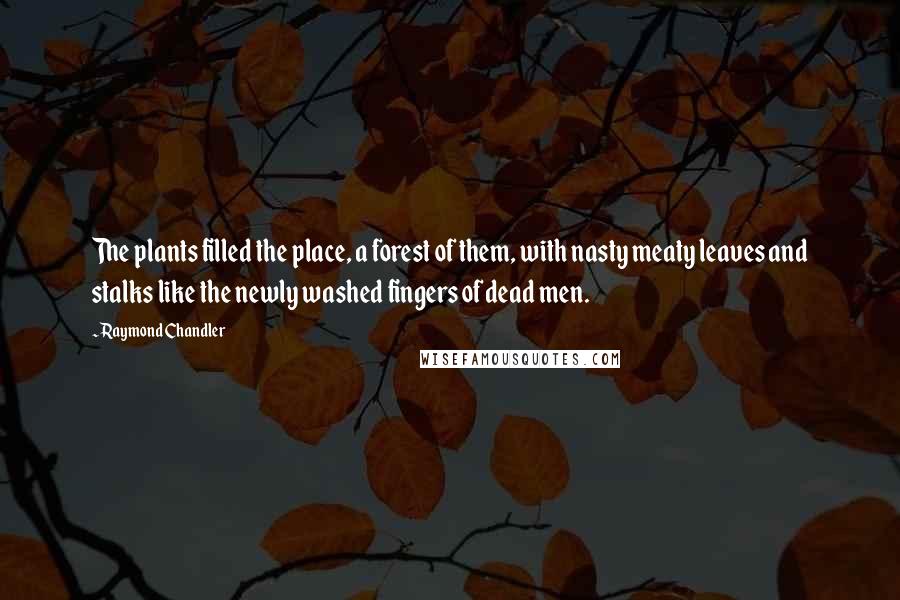 Raymond Chandler Quotes: The plants filled the place, a forest of them, with nasty meaty leaves and stalks like the newly washed fingers of dead men.