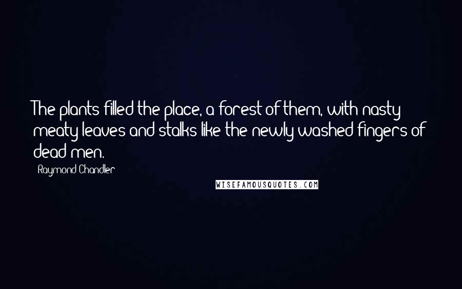 Raymond Chandler Quotes: The plants filled the place, a forest of them, with nasty meaty leaves and stalks like the newly washed fingers of dead men.