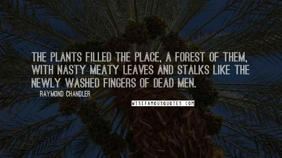 Raymond Chandler Quotes: The plants filled the place, a forest of them, with nasty meaty leaves and stalks like the newly washed fingers of dead men.