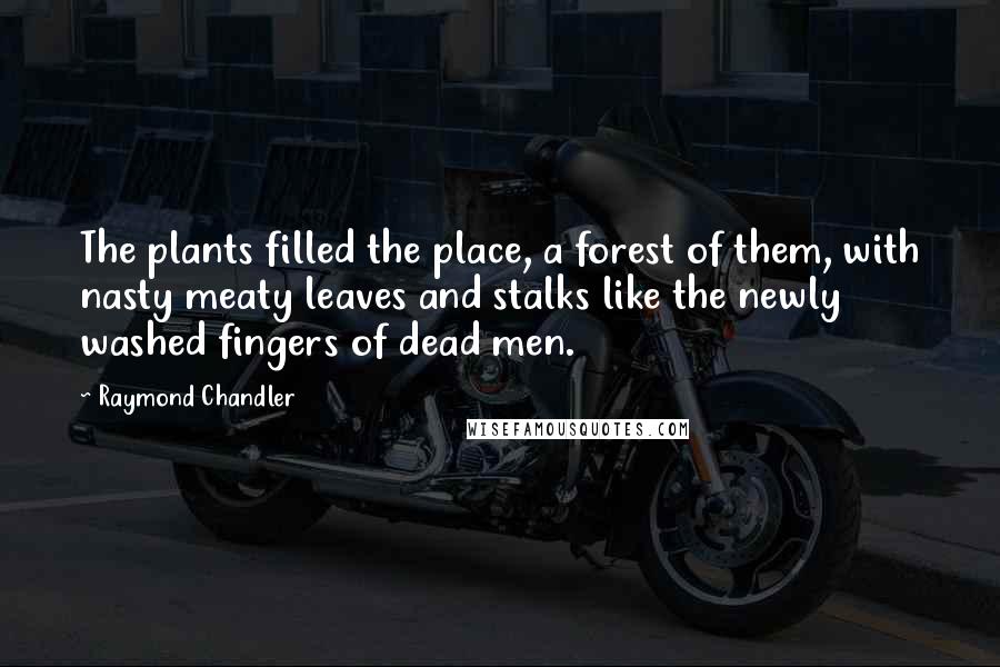 Raymond Chandler Quotes: The plants filled the place, a forest of them, with nasty meaty leaves and stalks like the newly washed fingers of dead men.