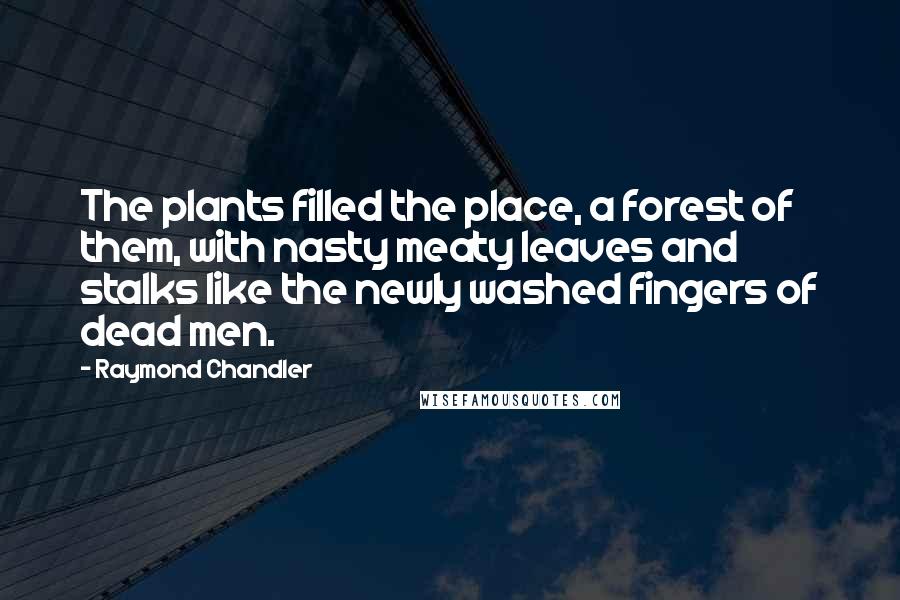 Raymond Chandler Quotes: The plants filled the place, a forest of them, with nasty meaty leaves and stalks like the newly washed fingers of dead men.