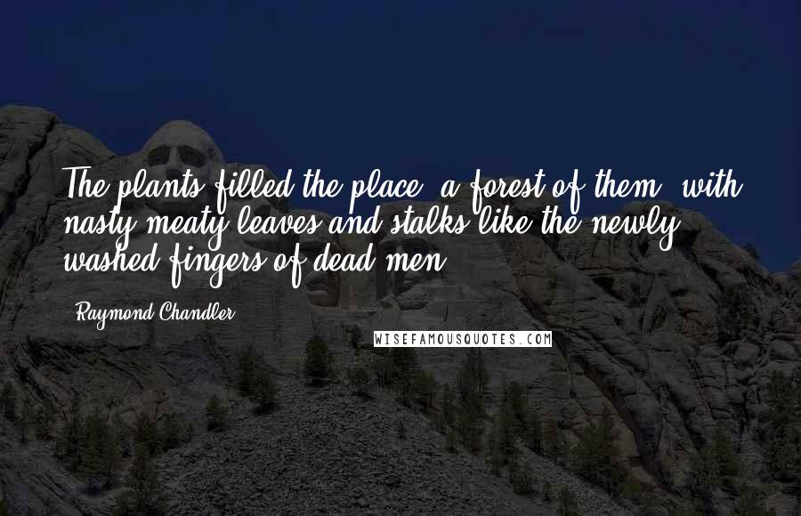 Raymond Chandler Quotes: The plants filled the place, a forest of them, with nasty meaty leaves and stalks like the newly washed fingers of dead men.