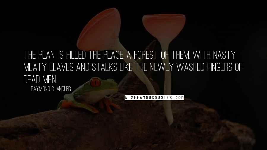 Raymond Chandler Quotes: The plants filled the place, a forest of them, with nasty meaty leaves and stalks like the newly washed fingers of dead men.