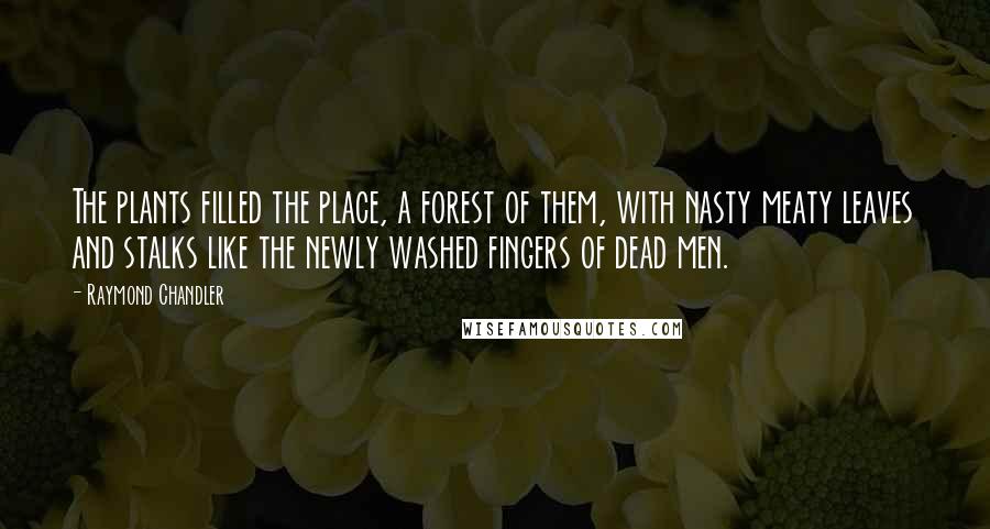 Raymond Chandler Quotes: The plants filled the place, a forest of them, with nasty meaty leaves and stalks like the newly washed fingers of dead men.