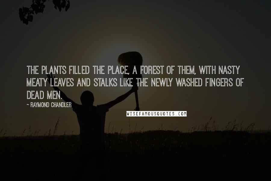 Raymond Chandler Quotes: The plants filled the place, a forest of them, with nasty meaty leaves and stalks like the newly washed fingers of dead men.
