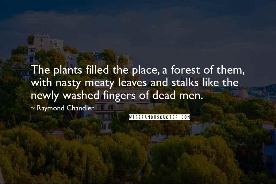 Raymond Chandler Quotes: The plants filled the place, a forest of them, with nasty meaty leaves and stalks like the newly washed fingers of dead men.