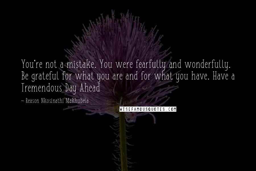 Reason Nkosinathi Makhubela Quotes: You're not a mistake. You were fearfully and wonderfully. Be grateful for what you are and for what you have. Have a Tremendous Day Ahead