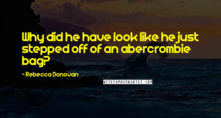 Rebecca Donovan Quotes: Why did he have look like he just stepped off of an abercrombie bag?