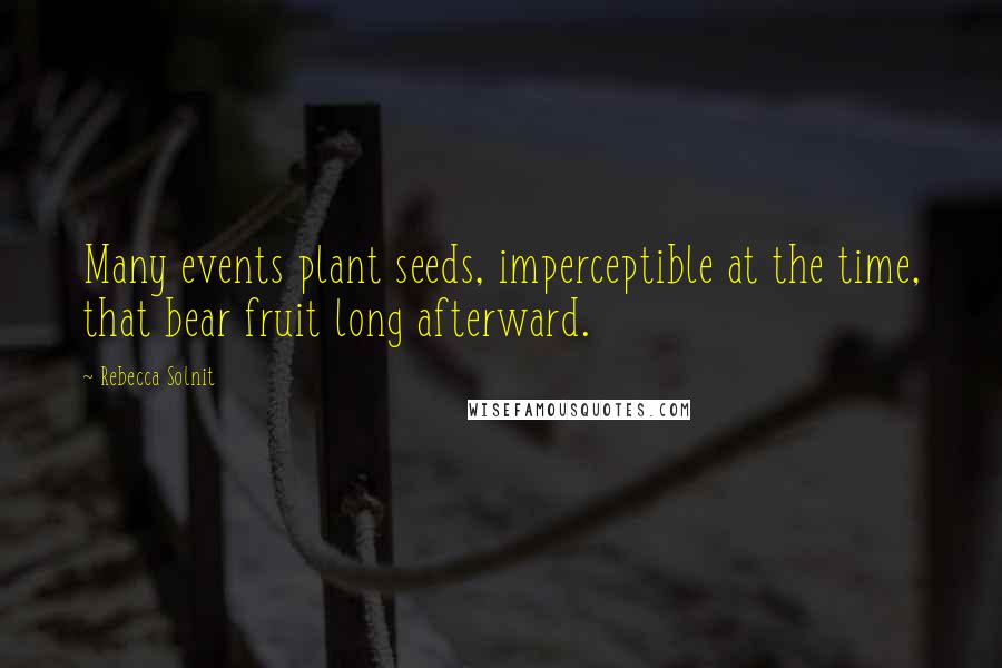 Rebecca Solnit Quotes: Many events plant seeds, imperceptible at the time, that bear fruit long afterward.