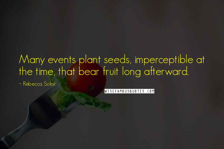 Rebecca Solnit Quotes: Many events plant seeds, imperceptible at the time, that bear fruit long afterward.