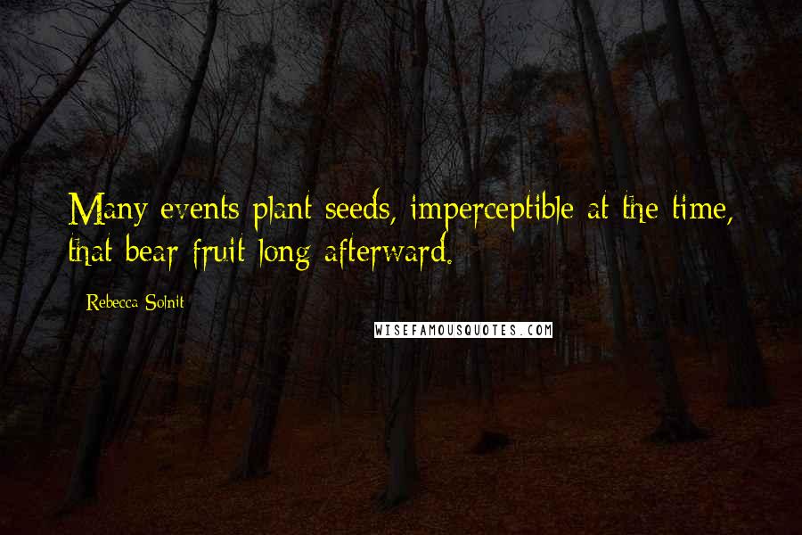 Rebecca Solnit Quotes: Many events plant seeds, imperceptible at the time, that bear fruit long afterward.