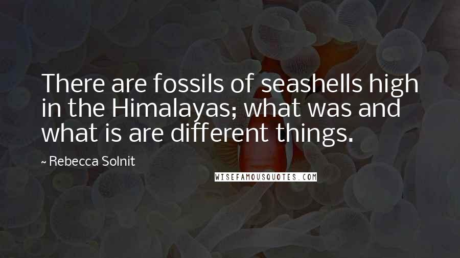 Rebecca Solnit Quotes: There are fossils of seashells high in the Himalayas; what was and what is are different things.