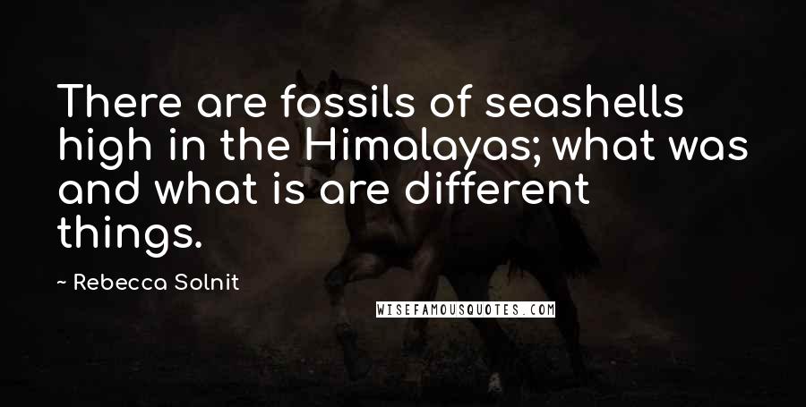 Rebecca Solnit Quotes: There are fossils of seashells high in the Himalayas; what was and what is are different things.